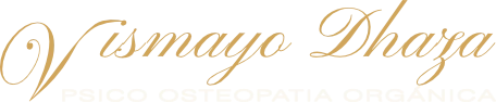 logo transparente